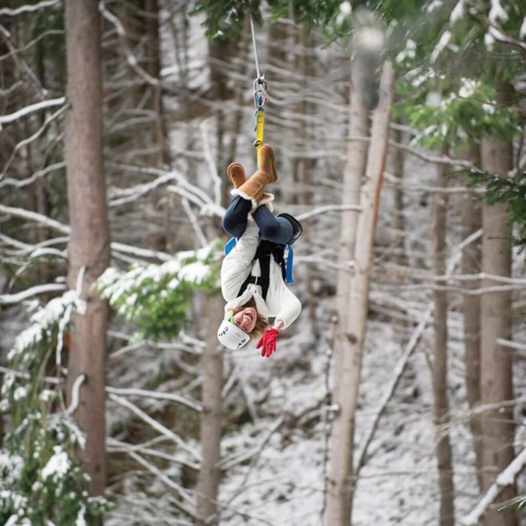 ziptrek-ecotours